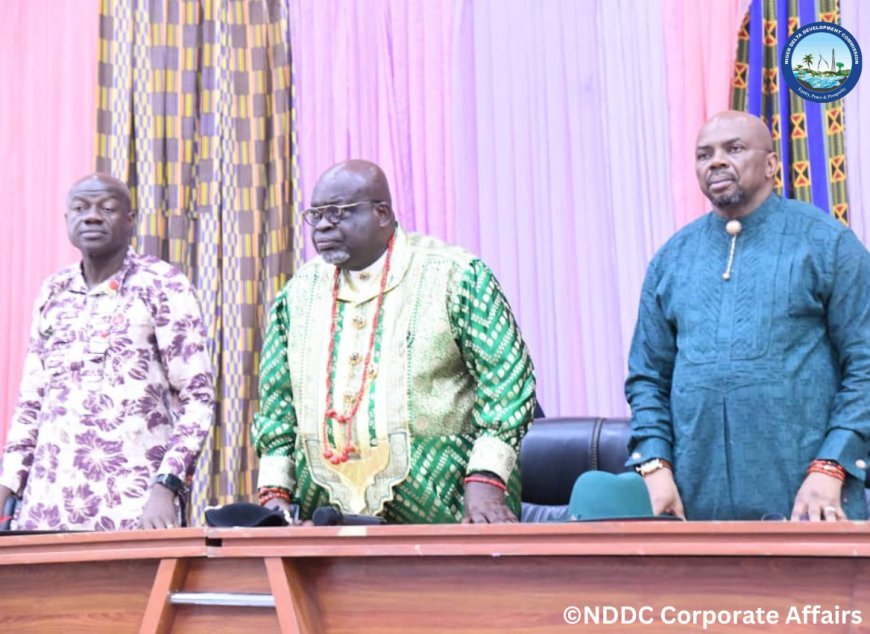 Help Govt to Curb Oil Theft, NDDC’s EDFA Urges Traditional Rulers